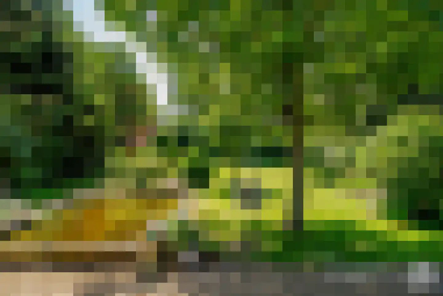 De Essen 29 Boekel thumbnail 14