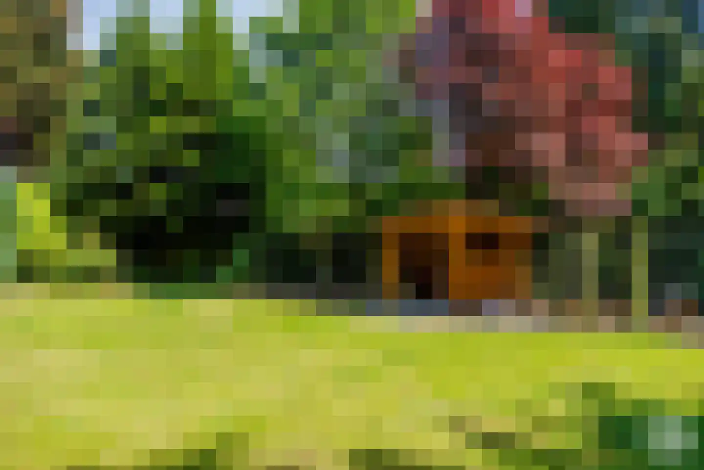 De Essen 29 Boekel thumbnail 16