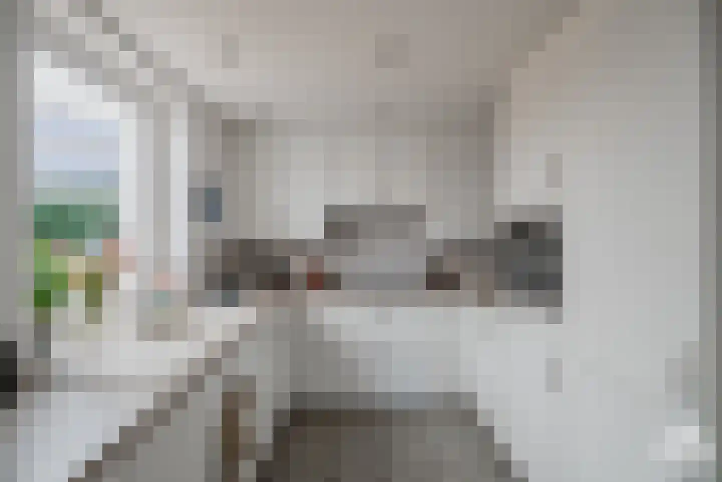 De Essen 29 Boekel thumbnail 6