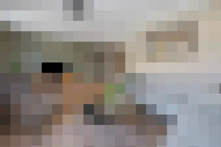 de Essenbree 70 Mariënheem thumbnail 10