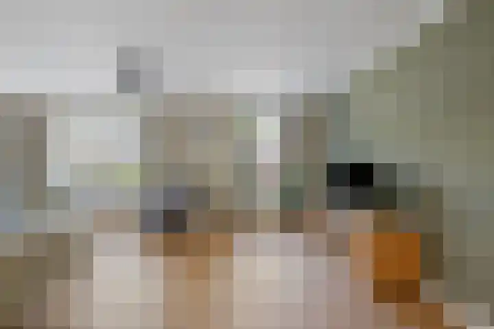 de Essenbree 70 Mariënheem thumbnail 11