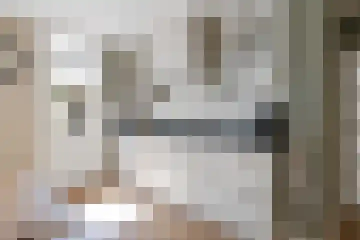 de Essenbree 70 Mariënheem thumbnail 16