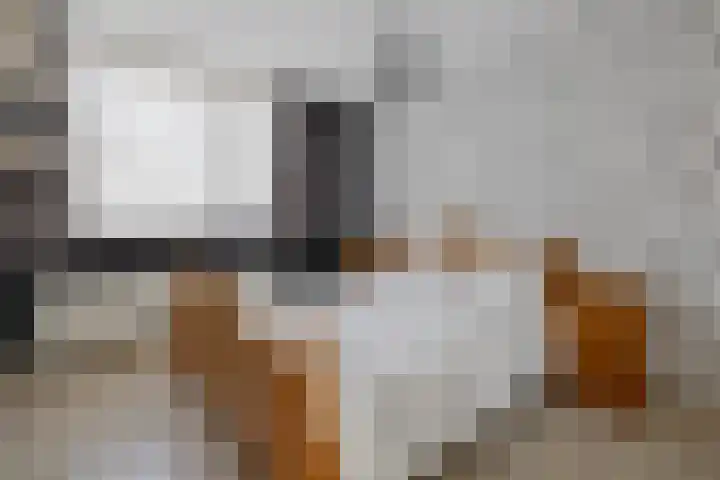 de Essenbree 70 Mariënheem thumbnail 27
