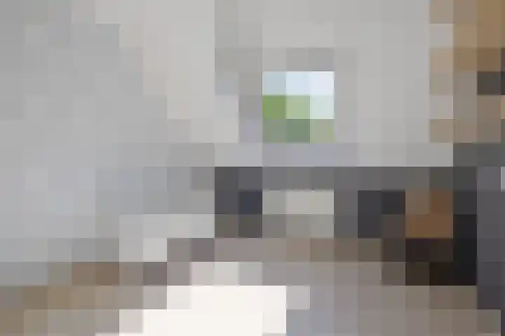 de Essenbree 70 Mariënheem thumbnail 29