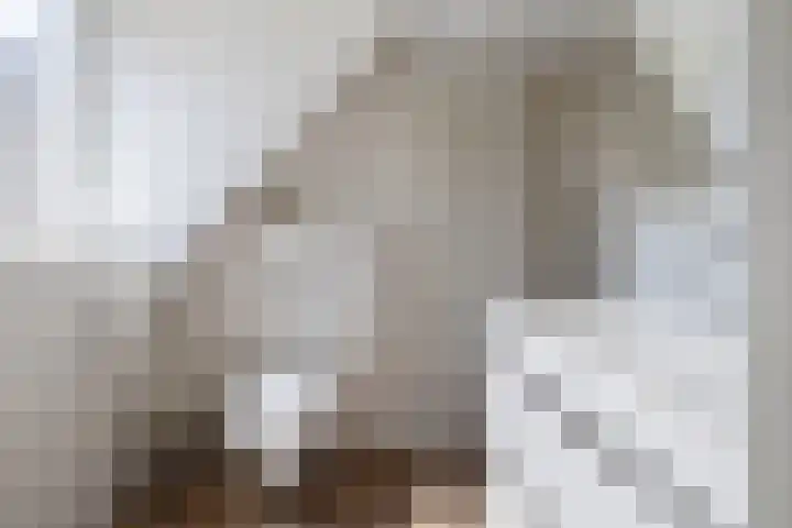 de Essenbree 70 Mariënheem thumbnail 32
