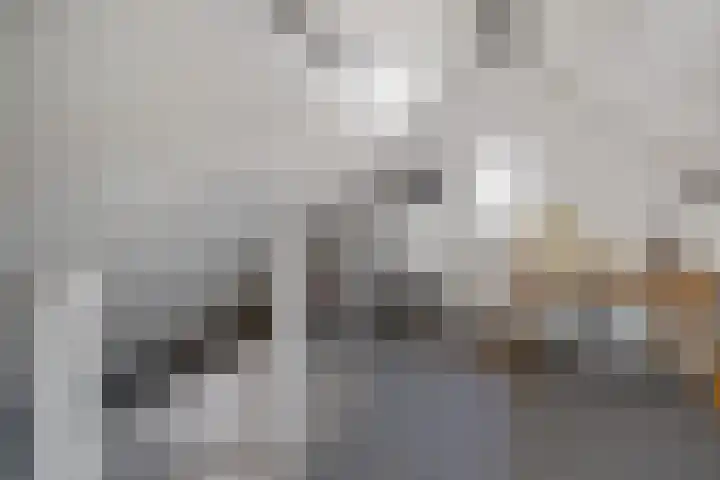 de Essenbree 70 Mariënheem thumbnail 34