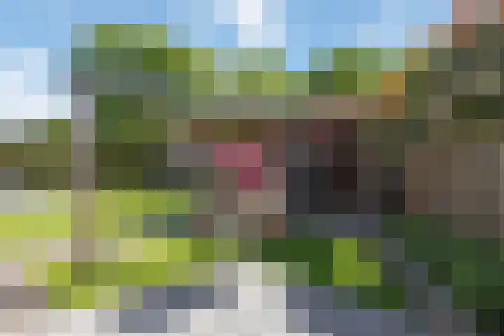 de Essenbree 70 Mariënheem thumbnail 37