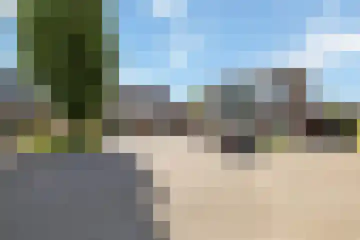 de Essenbree 70 Mariënheem thumbnail 4
