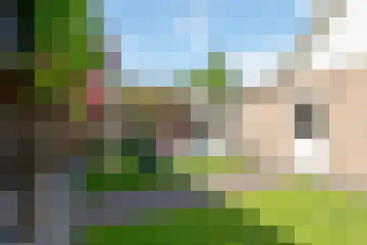 de Essenbree 70 Mariënheem thumbnail 41