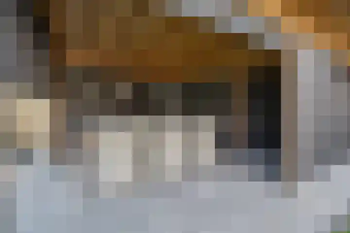 de Essenbree 70 Mariënheem thumbnail 43