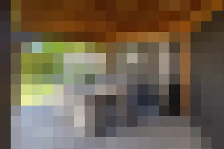 de Essenbree 70 Mariënheem thumbnail 44