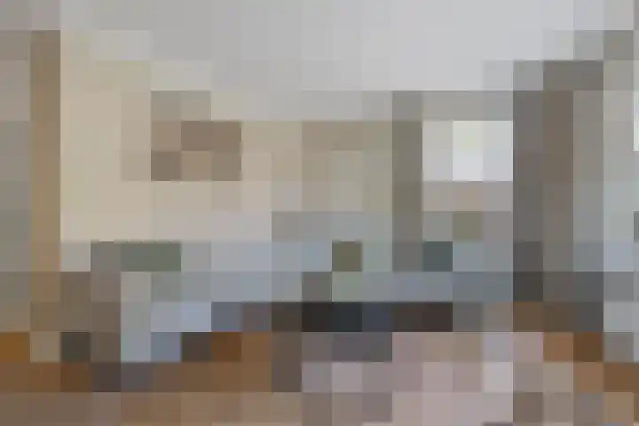 de Essenbree 70 Mariënheem thumbnail 9