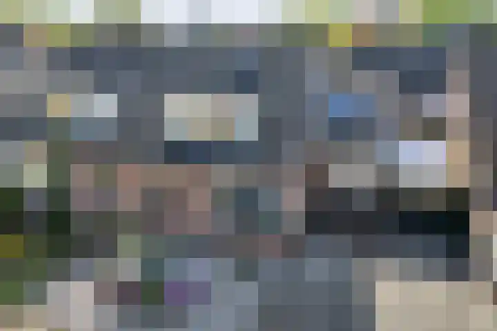 de Essenbree 80 in Mariënheem