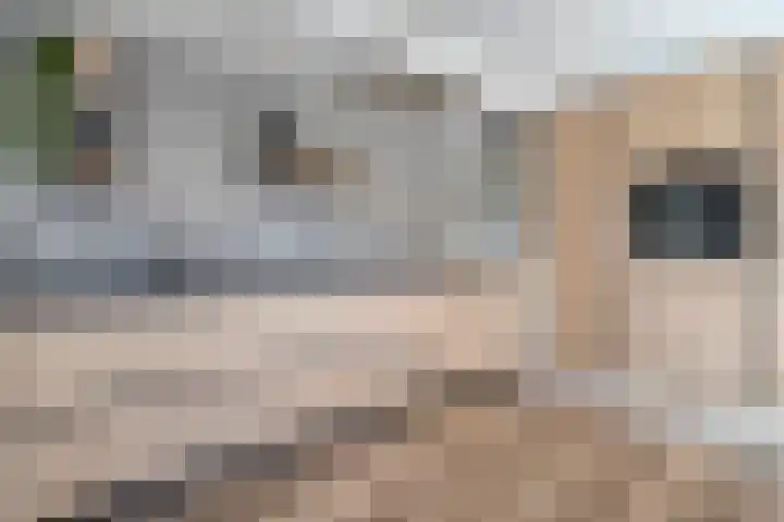 de Essenbree 80 Mariënheem thumbnail 23
