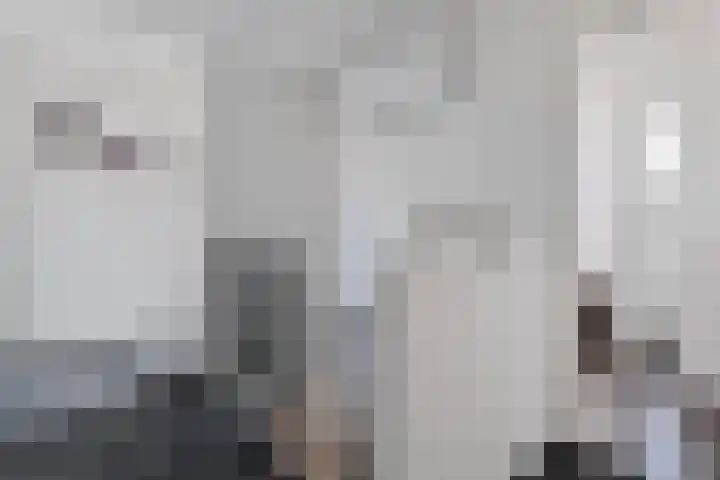 de Essenbree 80 Mariënheem thumbnail 28