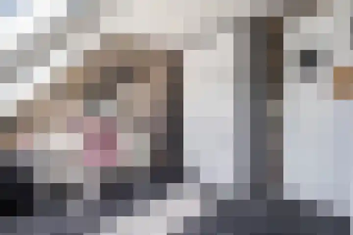 de Essenbree 80 Mariënheem thumbnail 41