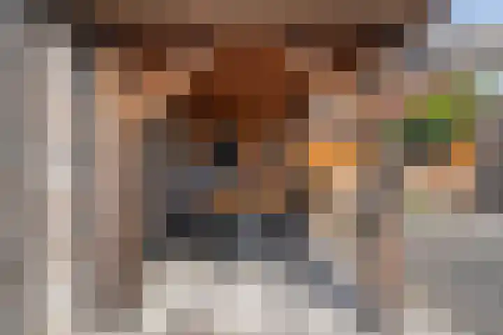 de Essenbree 80 Mariënheem thumbnail 45