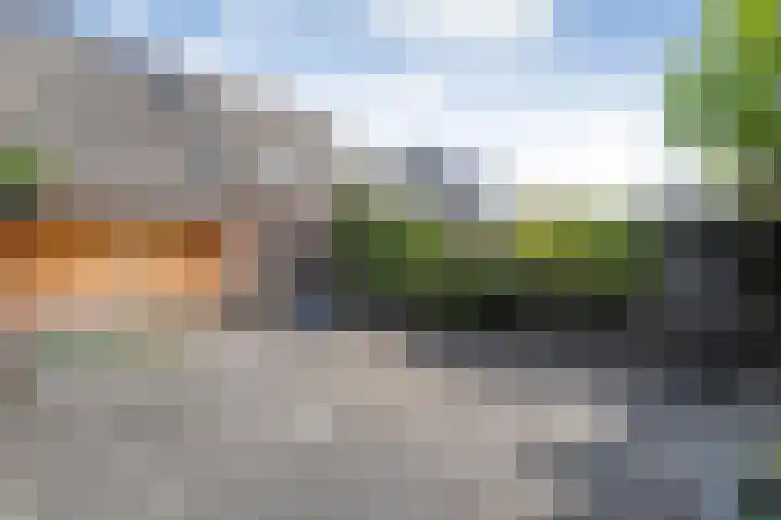 de Essenbree 80 Mariënheem thumbnail 46