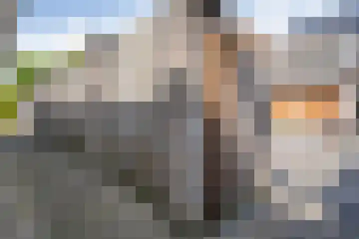 de Essenbree 80 Mariënheem thumbnail 48