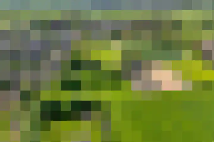de Essenbree 80 Mariënheem thumbnail 6