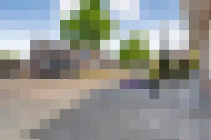 de Essenbree 80 Mariënheem thumbnail 8