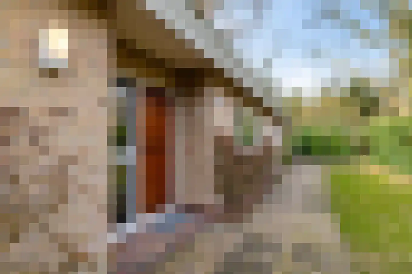 De Esstukken 14 Haren Gn thumbnail 11