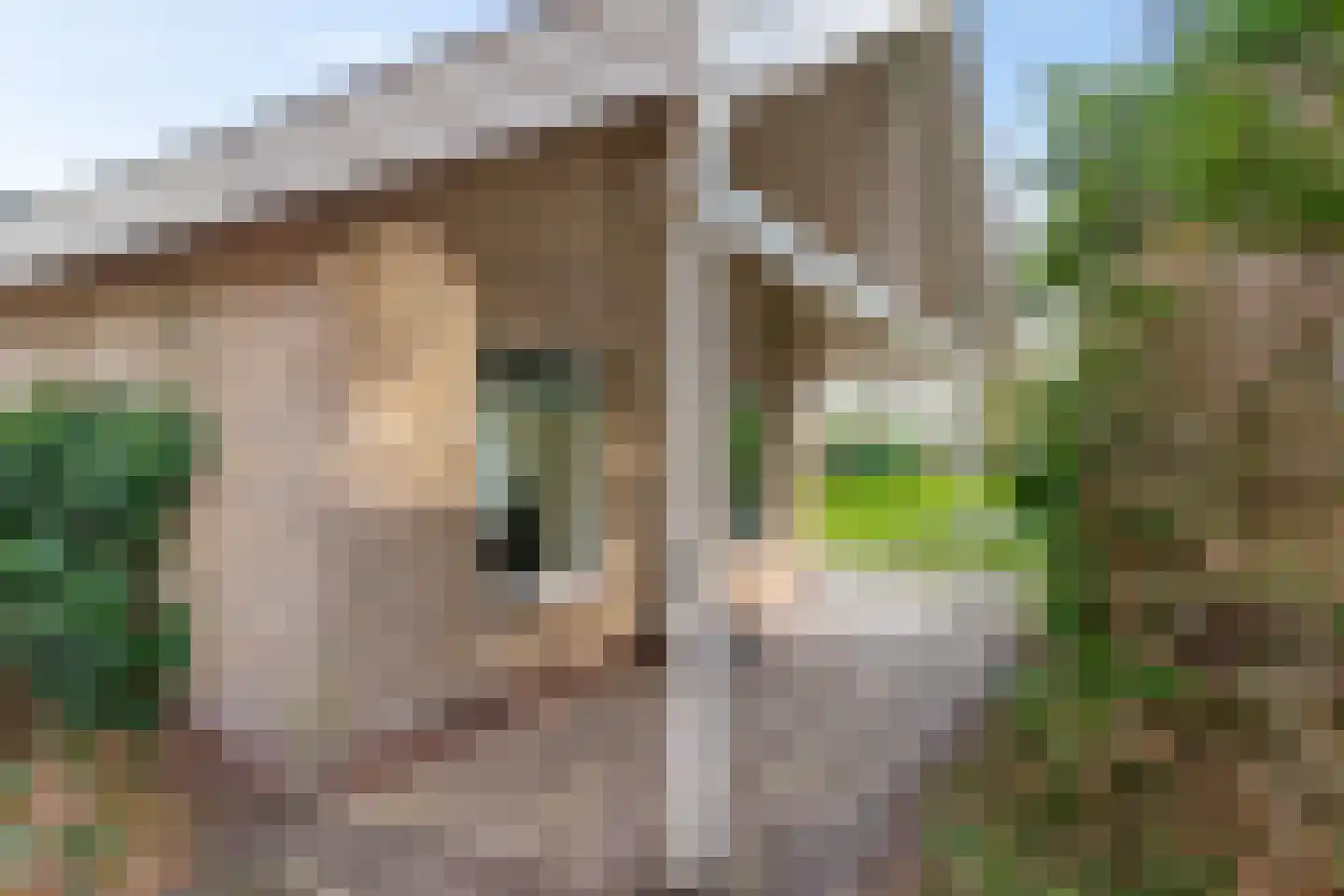 De Esstukken 14 Haren Gn thumbnail 6