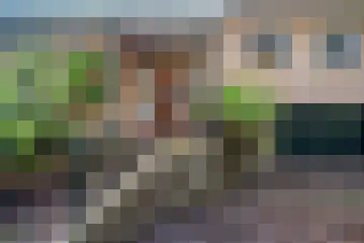 De Esstukken 22 Haren Gn thumbnail 11
