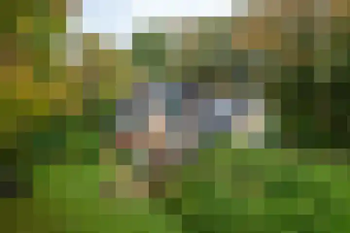 De Esstukken 22 Haren Gn thumbnail 4