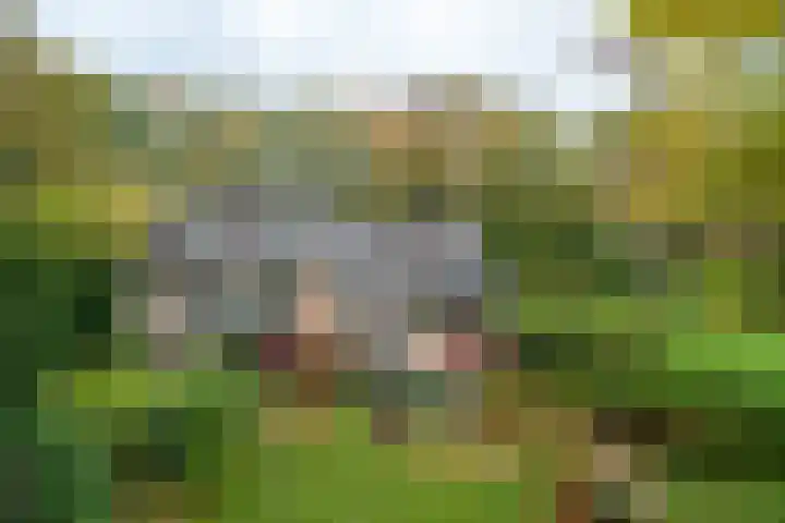 De Esstukken 22 Haren Gn thumbnail 46