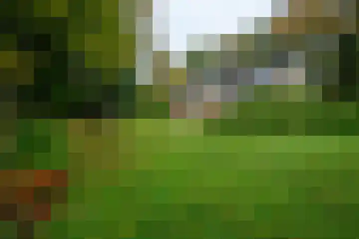 De Esstukken 22 Haren Gn thumbnail 47