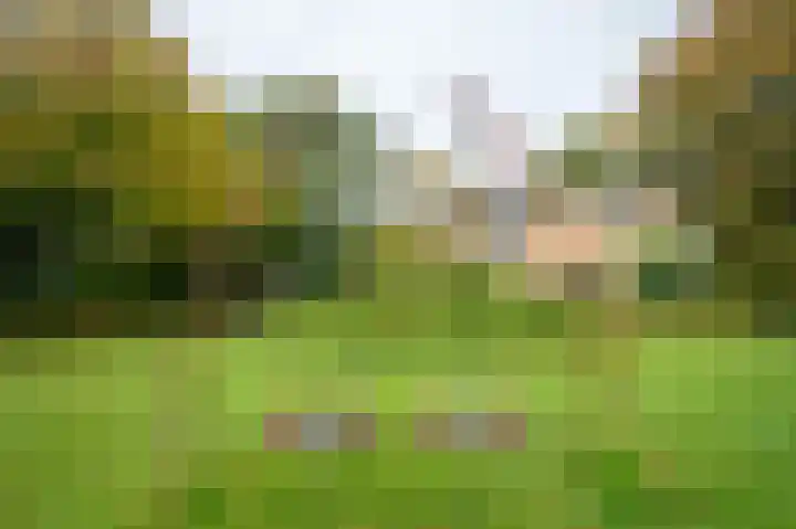 De Esstukken 22 Haren Gn thumbnail 48