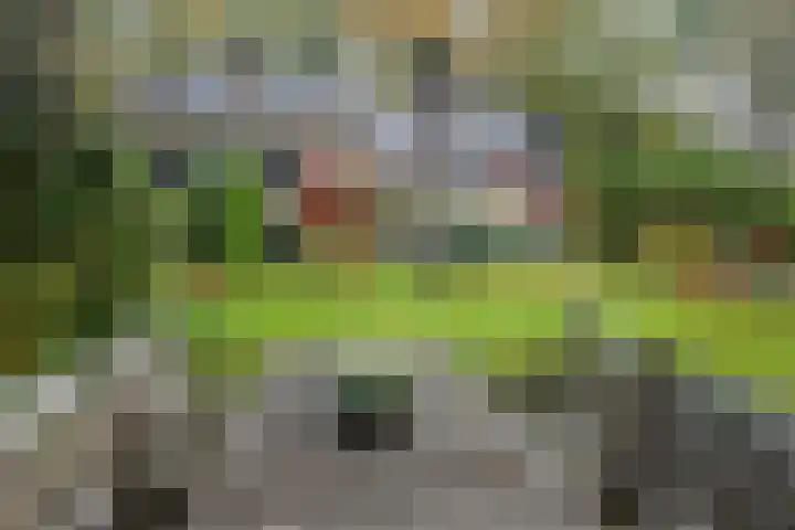 De Esstukken 22 Haren Gn thumbnail 49