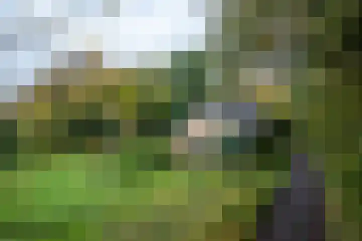 De Esstukken 22 Haren Gn thumbnail 5