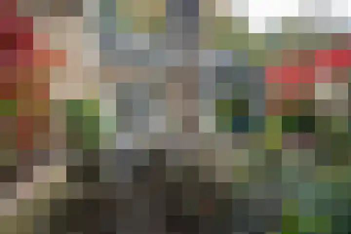 De Esstukken 22 Haren Gn thumbnail 50