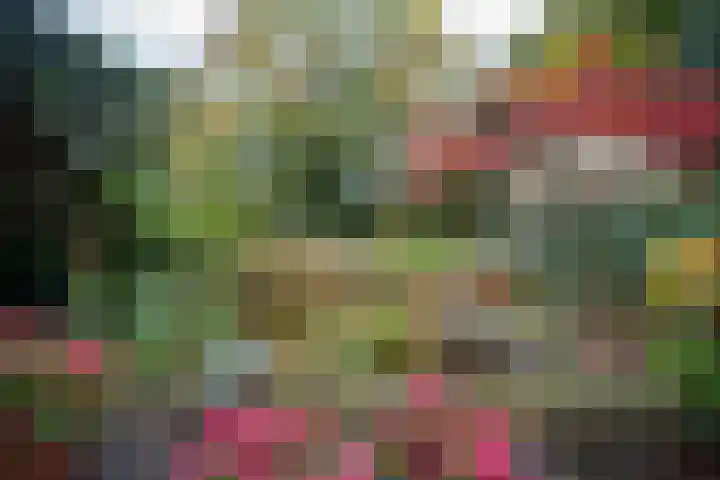 De Esstukken 22 Haren Gn thumbnail 51