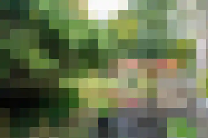 De Esstukken 22 Haren Gn thumbnail 52