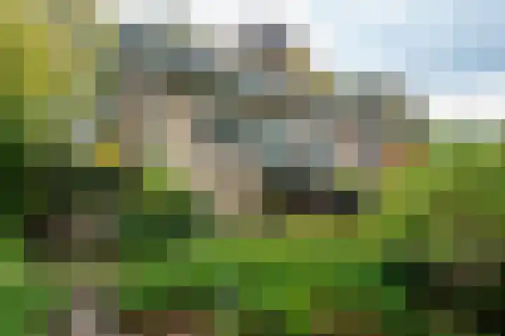 De Esstukken 22 Haren Gn thumbnail 53
