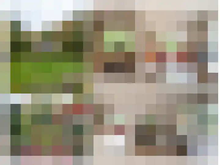 De Esstukken 22 Haren Gn thumbnail 54