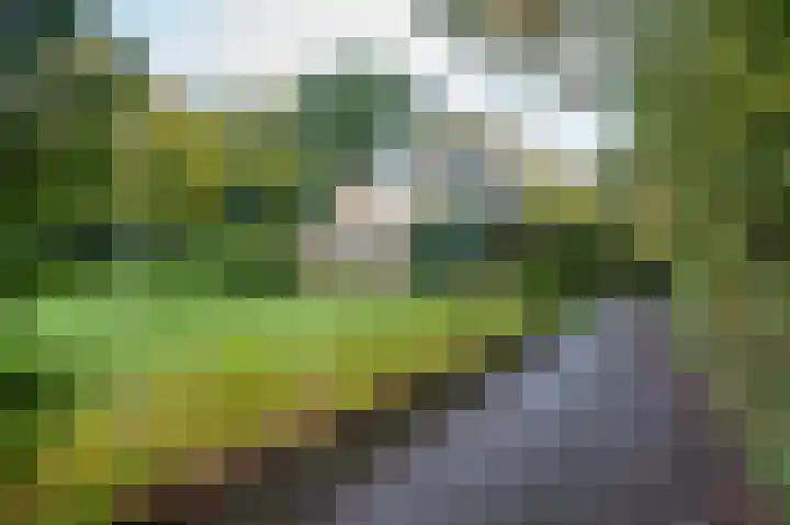 De Esstukken 22 Haren Gn thumbnail 7