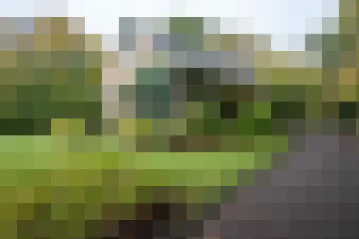 De Esstukken 22 Haren Gn thumbnail 9
