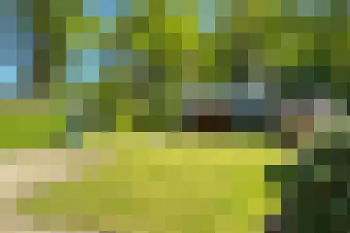 De Etgaarde 2 Oosterhesselen thumbnail 14