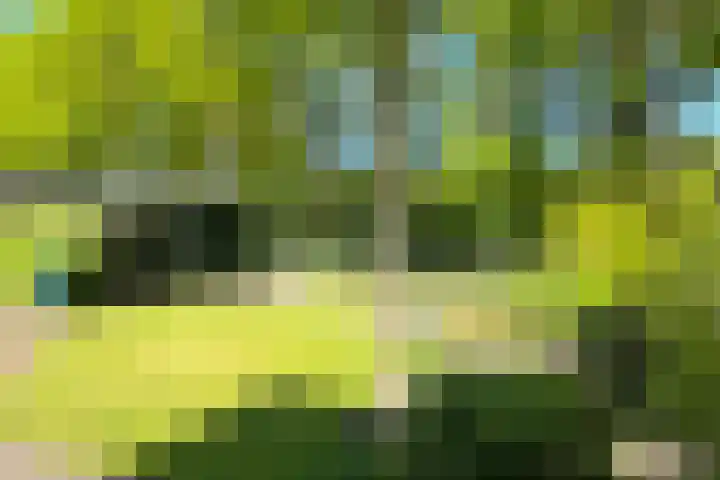 De Etgaarde 2 Oosterhesselen thumbnail 15