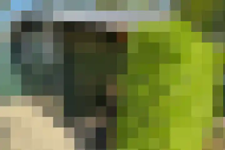 De Etgaarde 2 Oosterhesselen thumbnail 16