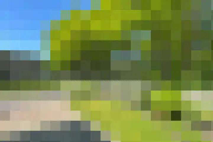 De Etgaarde 2 Oosterhesselen thumbnail 17