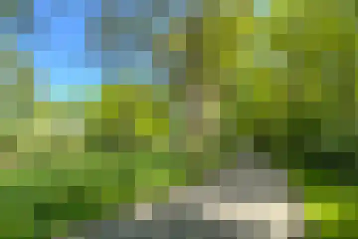 De Etgaarde 2 Oosterhesselen thumbnail 19