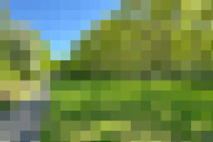 De Etgaarde 2 Oosterhesselen thumbnail 20