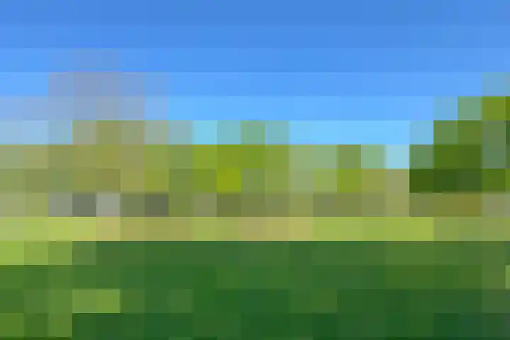 De Etgaarde 2 Oosterhesselen thumbnail 21