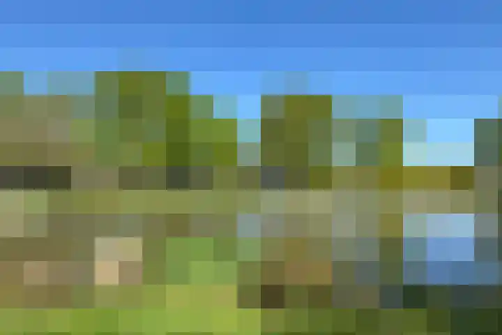 De Etgaarde 2 Oosterhesselen thumbnail 22