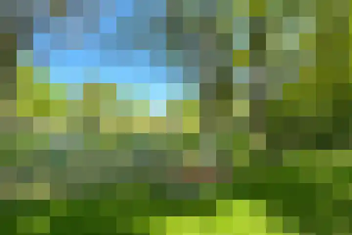 De Etgaarde 2 Oosterhesselen thumbnail 23